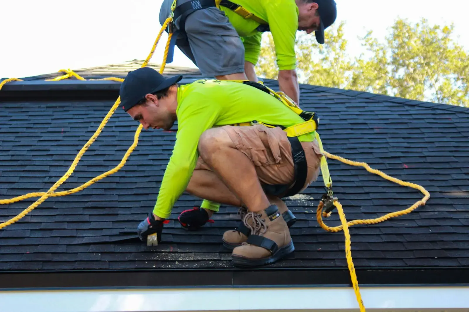 Roofers in harnesses installing asphalt shingles